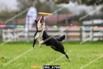 IMG_6788.jpg
