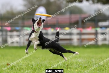 IMG_6789.jpg