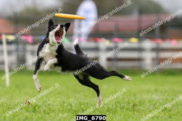 IMG_6790.jpg