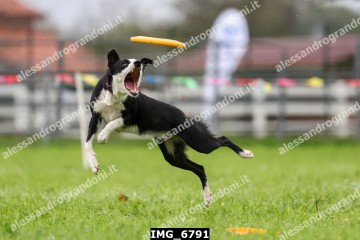 IMG_6791.jpg