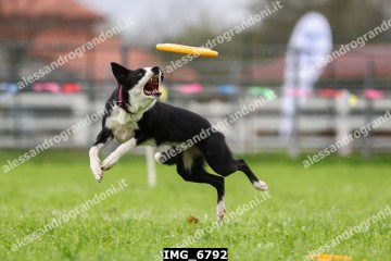 IMG_6792.jpg
