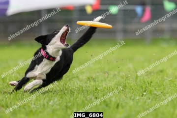 IMG_6804.jpg