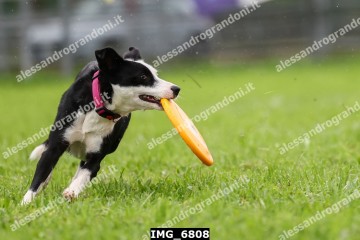 IMG_6808.jpg