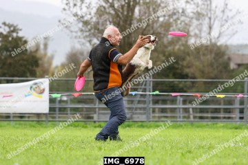 IMG_6978.jpg