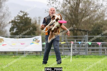 IMG_7000.jpg