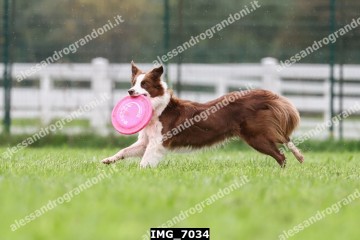 IMG_7034.jpg