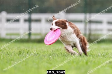 IMG_7042.jpg