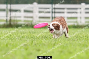 IMG_7061.jpg