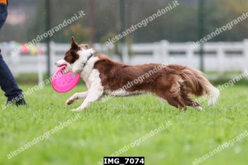 IMG_7074.jpg