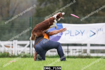 IMG_7159.jpg
