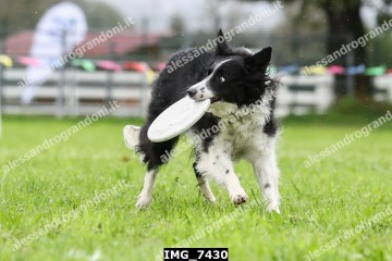 IMG_7430.jpg