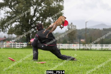 IMG_7514.jpg