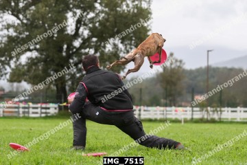 IMG_7515.jpg
