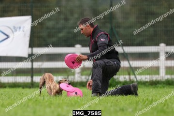 IMG_7585.jpg
