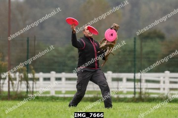 IMG_7666.jpg
