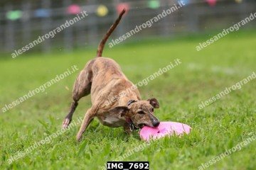 IMG_7692.jpg