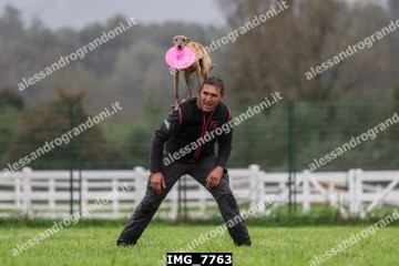 IMG_7763.jpg