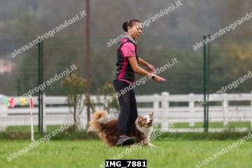 IMG_7881.jpg