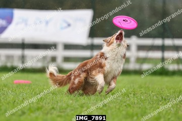 IMG_7891.jpg