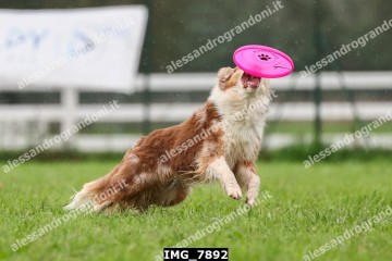 IMG_7892.jpg