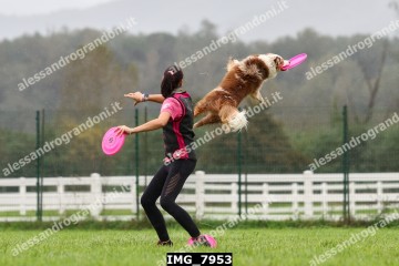 IMG_7953.jpg