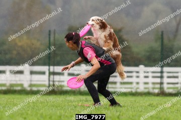 IMG_7977.jpg