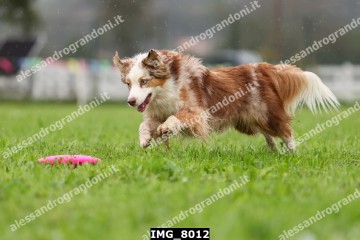 IMG_8012.jpg