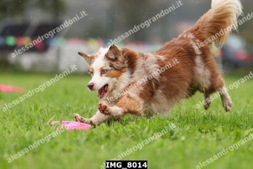 IMG_8014.jpg