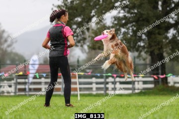 IMG_8133.jpg