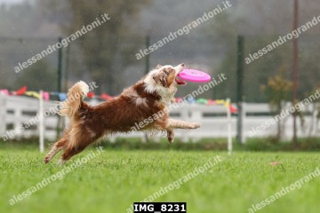 IMG_8231.jpg