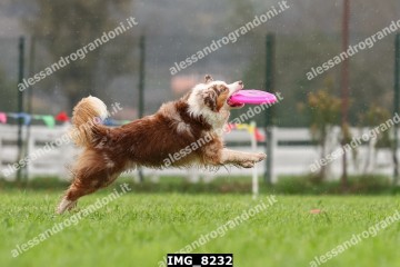 IMG_8232.jpg