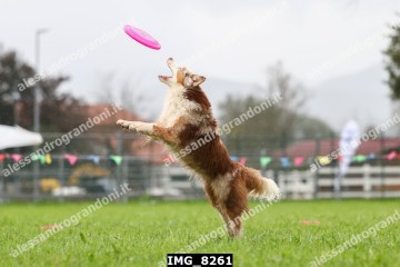 IMG_8261.jpg