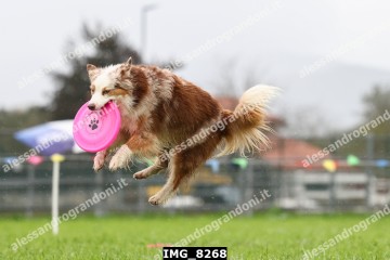 IMG_8268.jpg