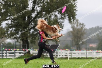 IMG_8300.jpg