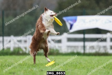 IMG_8653.jpg