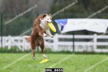 IMG_8655.jpg