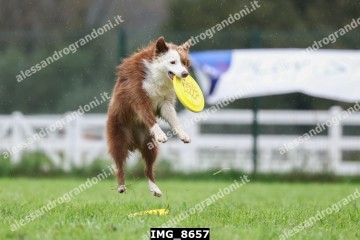 IMG_8657.jpg