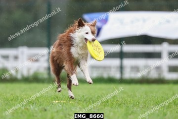 IMG_8660.jpg