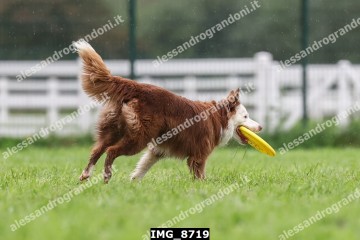 IMG_8719.jpg
