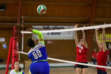IMG_4209.jpg