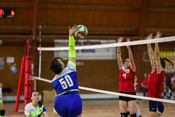 IMG_4210.jpg