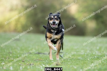 IMG_8447.jpg