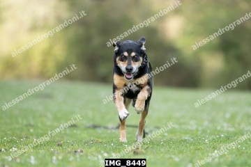 IMG_8449.jpg