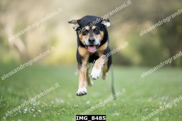 IMG_8485.jpg