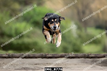 IMG_8776.jpg