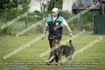 IMG_0793.jpg