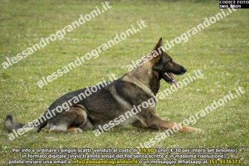 IMG_0809.jpg