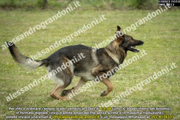 IMG_0813.jpg