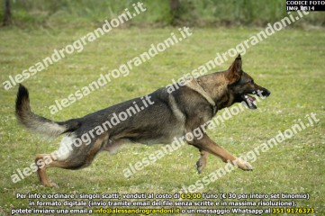IMG_0814.jpg