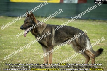 IMG_0823.jpg